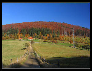 Autumn around my town 3