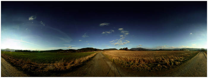 Winter panorama