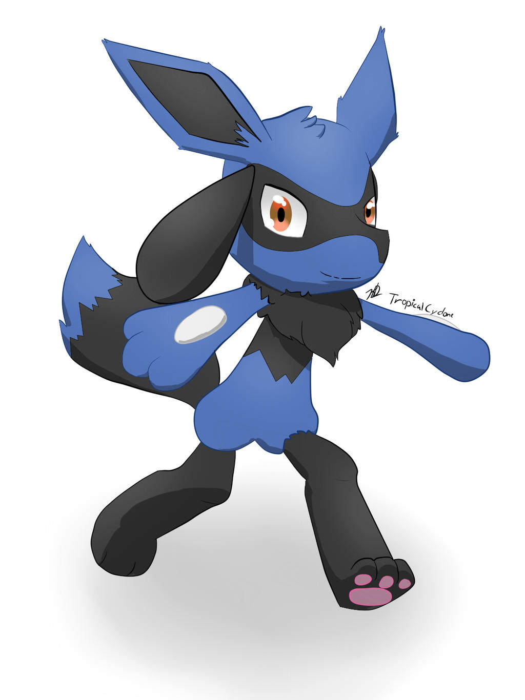Eevee x Riolu Fusion (Request) by TropicalCyclone on DeviantArt