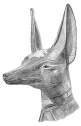 Anubis