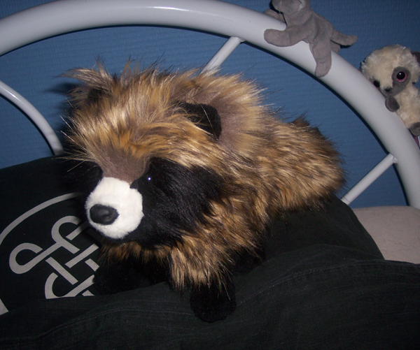 Tanuki plush best sale