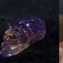 Gemstone kitty: Ametrine