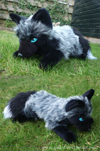 Floppy Silver fox  2