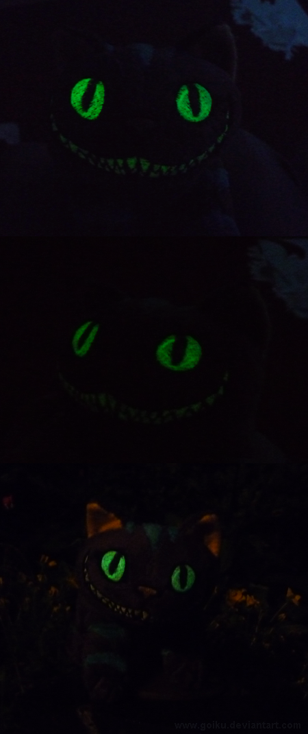 Cheshire Cat GLOW - Night pictures