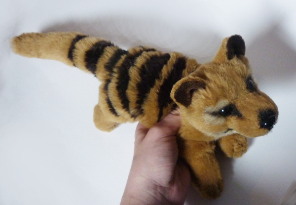 Thylacine plush top