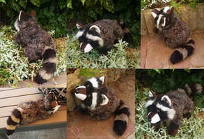 SOLD - Brown raccoon - small floppy