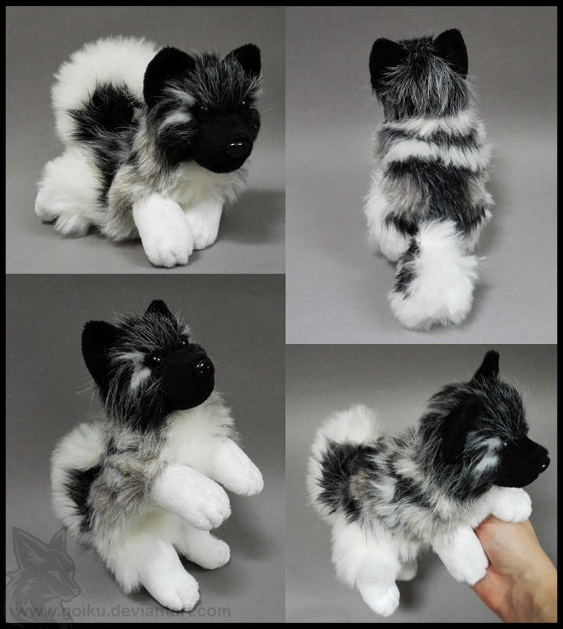 SOLD - Norwegian Elkhound ~ Small floppy