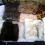 Even more faux furs arrived! 