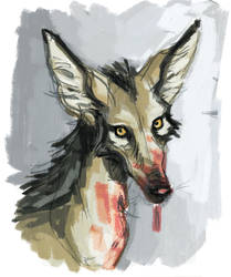 Painty Jackal