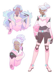 Pink Paladin Allura