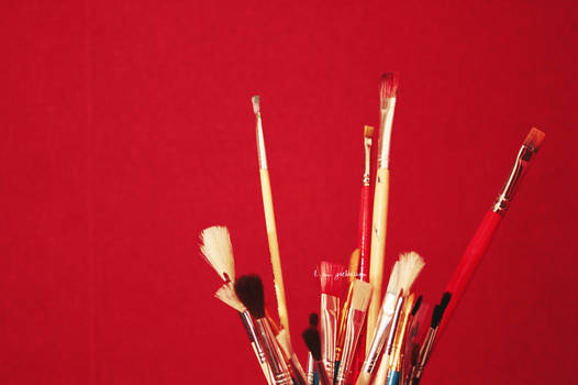 Brushes