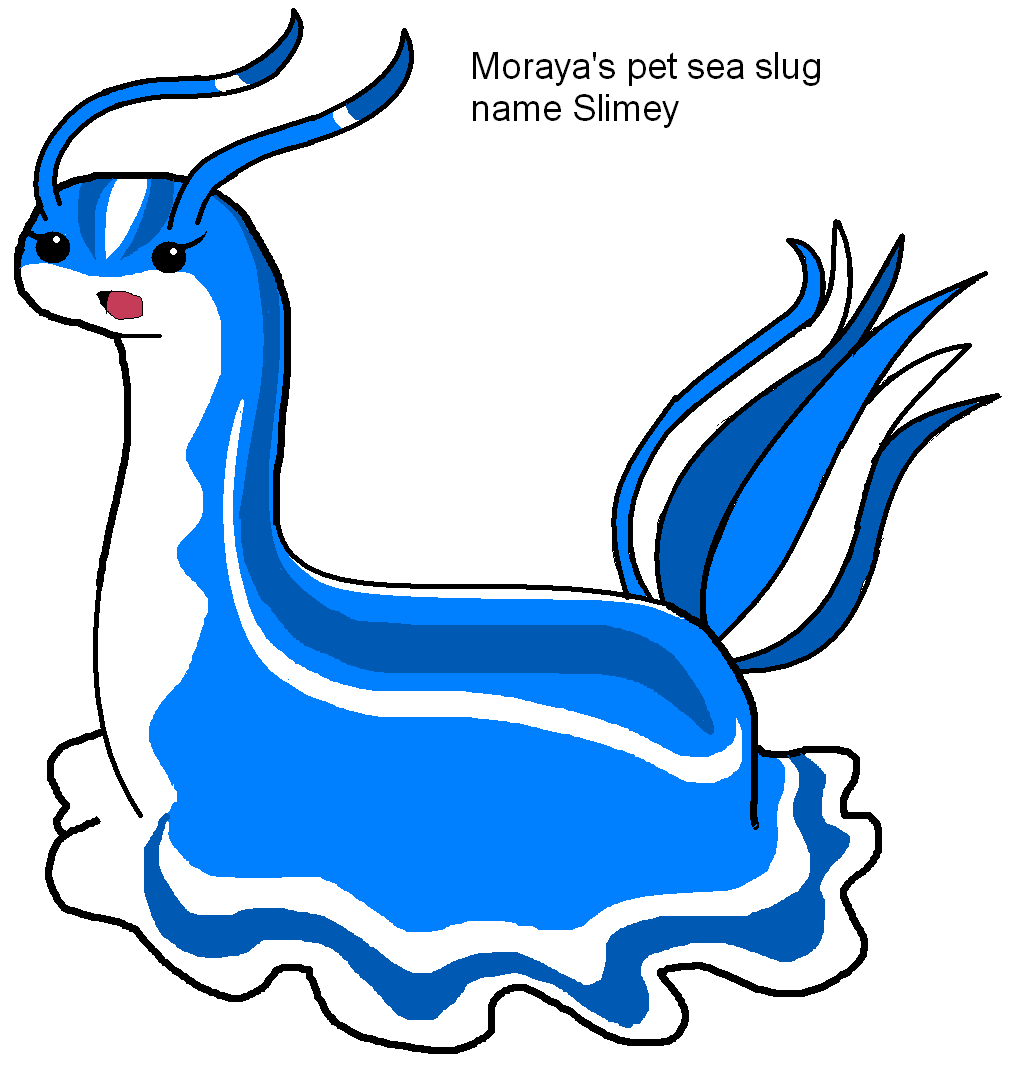 Seaslug name Slimey