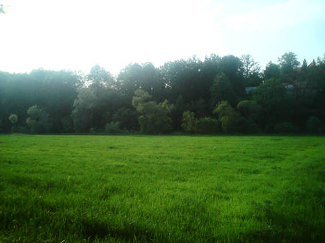 Just an Field