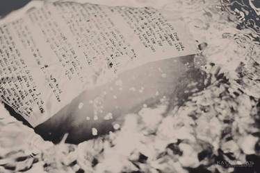 rosemaree-images - Student, Photographer | DeviantArt