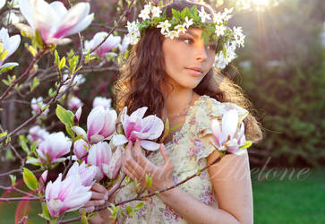 Spring sunset in blossom