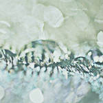 .: drop :. by Bromelia94