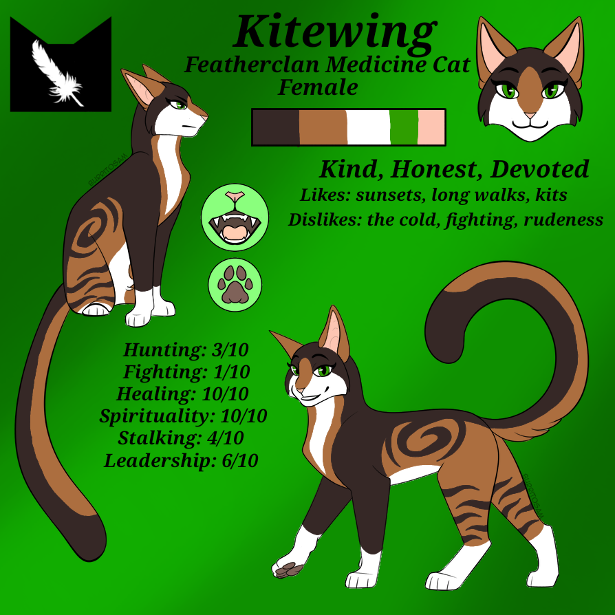 MCYT Warrior Cats AU 2 by aoifehorse on DeviantArt