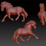 Zbrush Shetland Pony