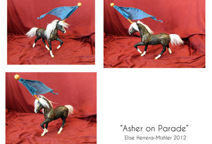 Asher On Parade