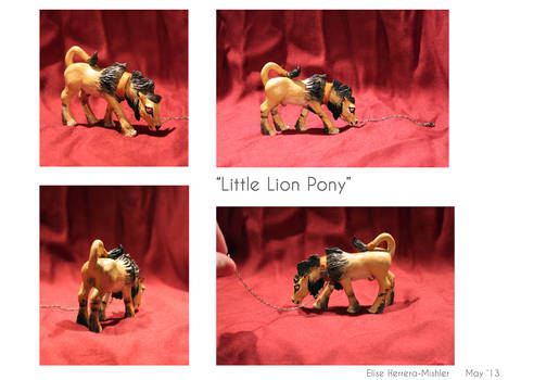 Little Lion Pony