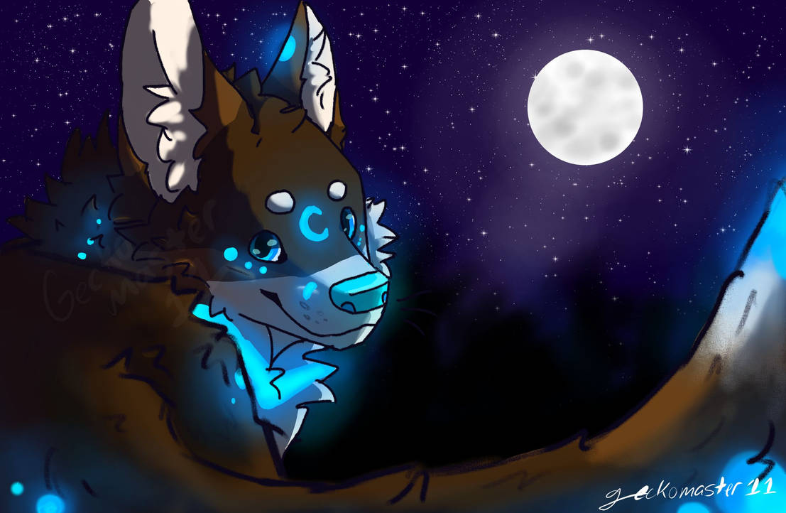 Moonlight Gecko Deviantart Glowing at midnight by geckomaster11 on DeviantArt