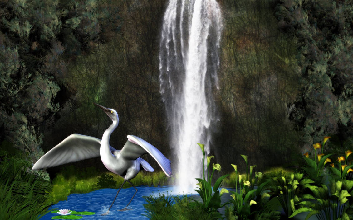 Egret by mainbearing