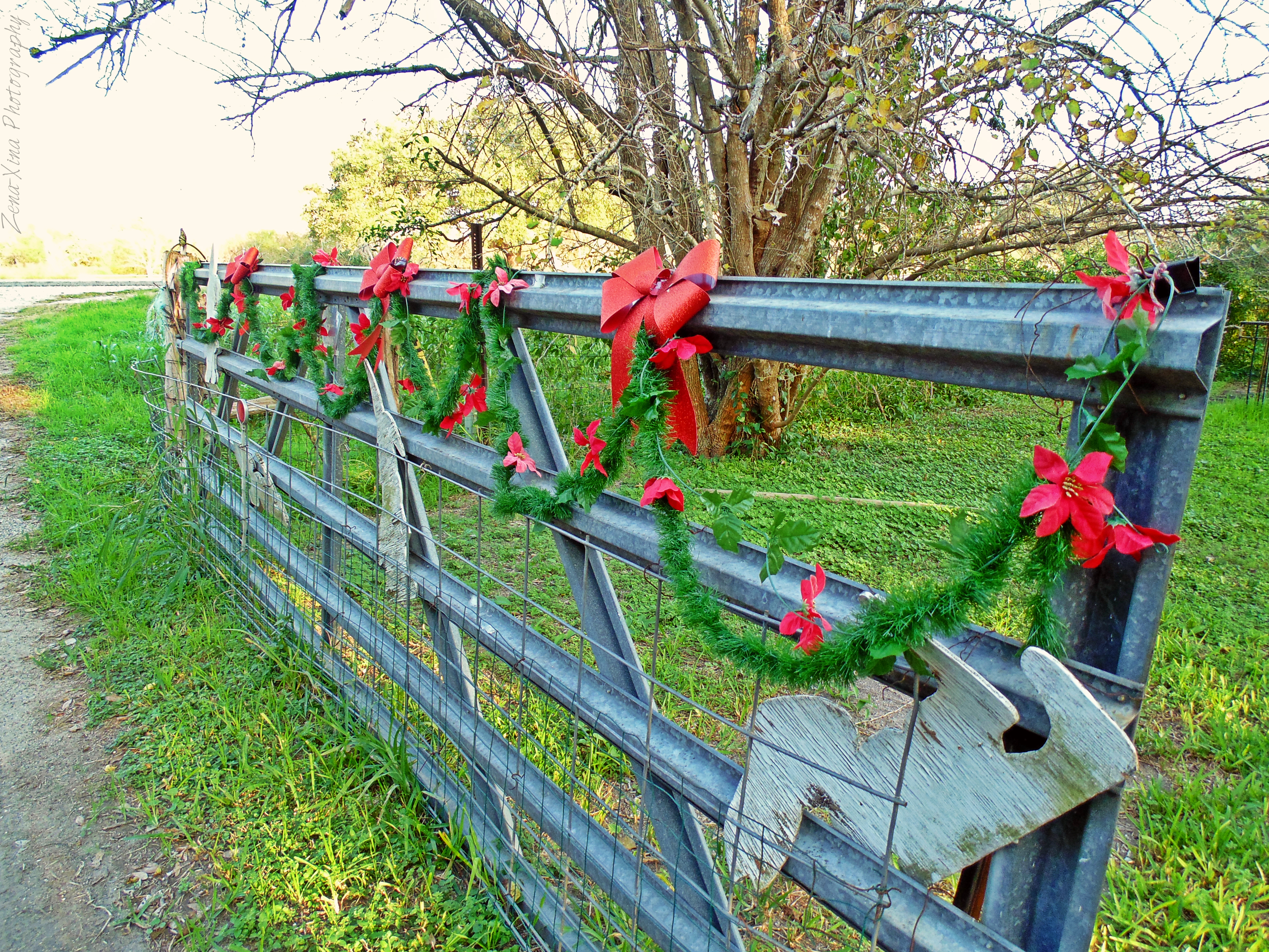 A Texas Christmas Eve