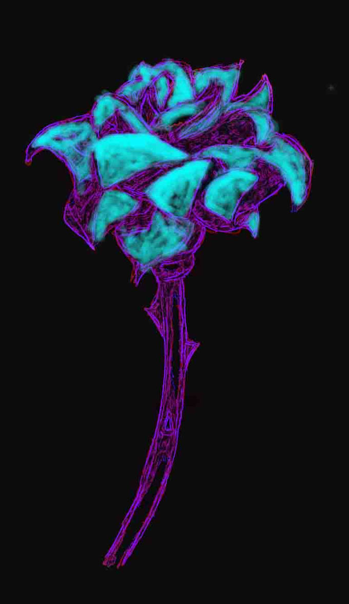 bruised rose by kj-snaps86 on DeviantArt