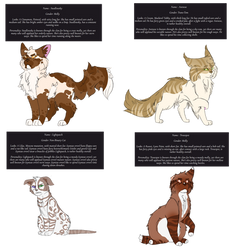 Cat Auction Adoptables [1/4 OPEN] by Hykura-Adopts
