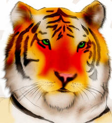 tiger