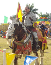 Medieval Fair 2010 2