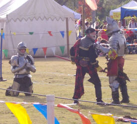 Medieval Fair 2010 7