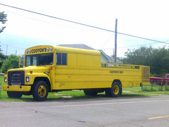 Cajun Party Bus