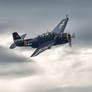 Grumman TBM-3E Avenger -02-