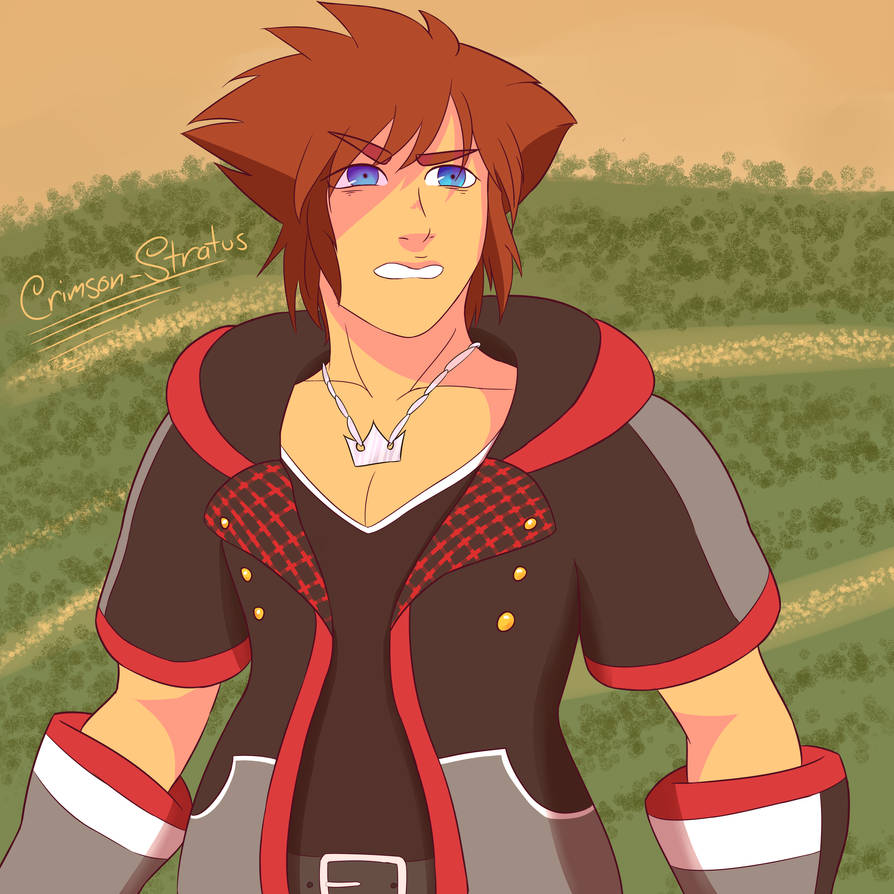 Sora is Insulted