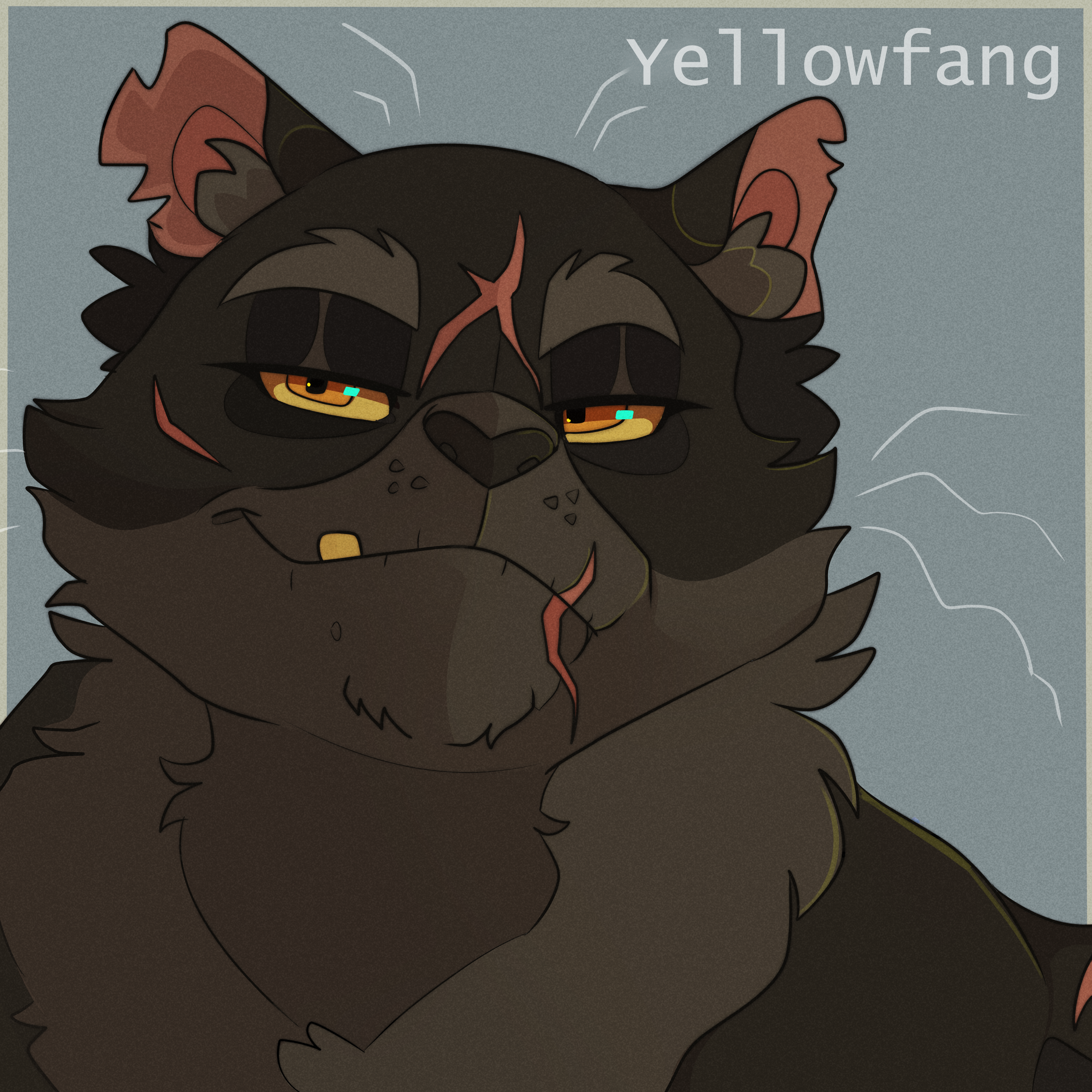 Ravenpaw by weak-punk on DeviantArt  Warrior cats art, Warrior cats books, Warrior  cats series