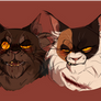 Mean Cats