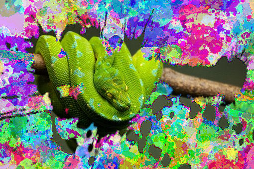Python Transformation Deviantart Python by KookaburraSandwing on DeviantArt
