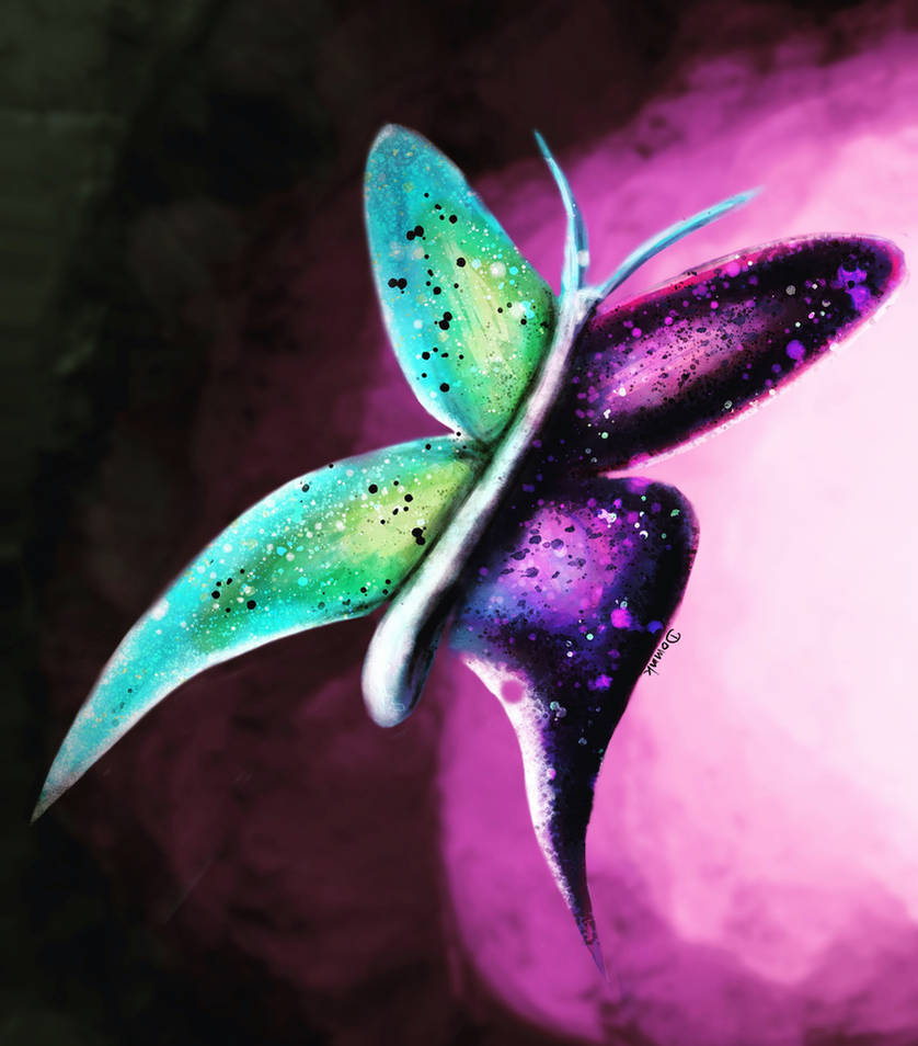 Colorfly by WabbitEarz on DeviantArt