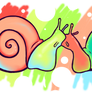 Snail Passion