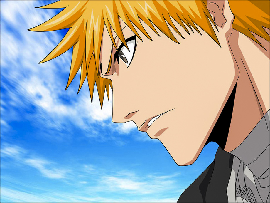 Inu — Kurosaki Ichigo