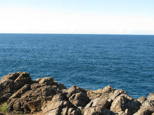 Kiama Cliffs 3