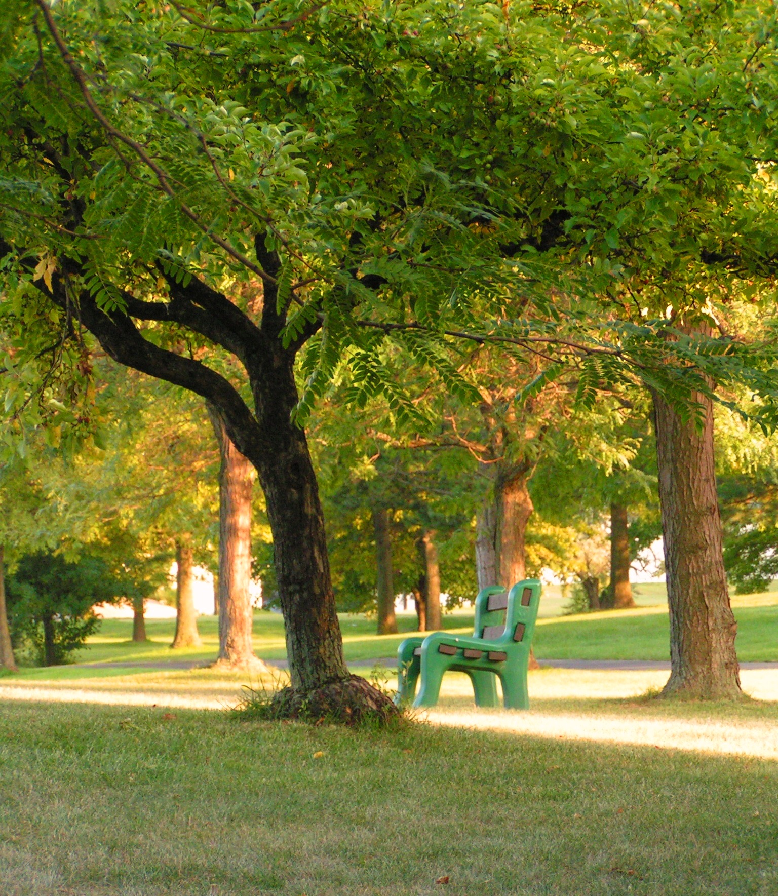 Park Bench