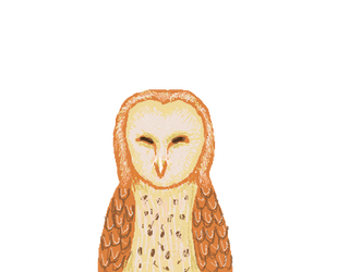 Barn Owl Doodle