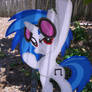 Vinyl Scratch