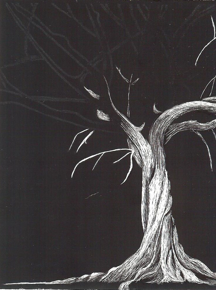 Scratch Board Tree at Neal Laughlin blog