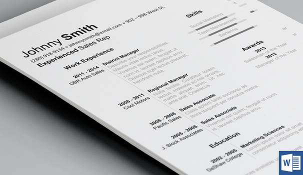 History Resume Template