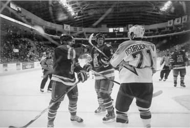 SOUND TIGERS