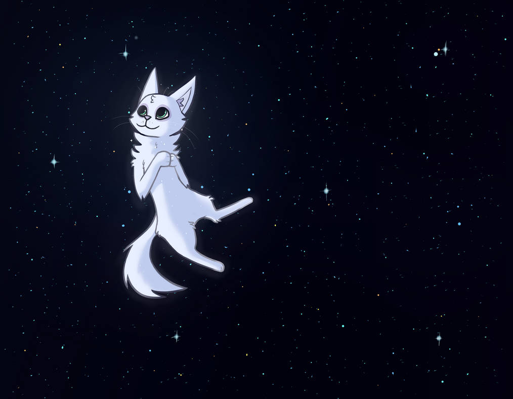 Space Cat