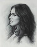 Portrait drawing Megan Fox by Dry Brush by Drawing-Portraits